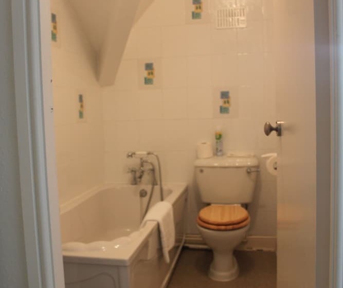 Пансион Bryn Eisteddfod B&b