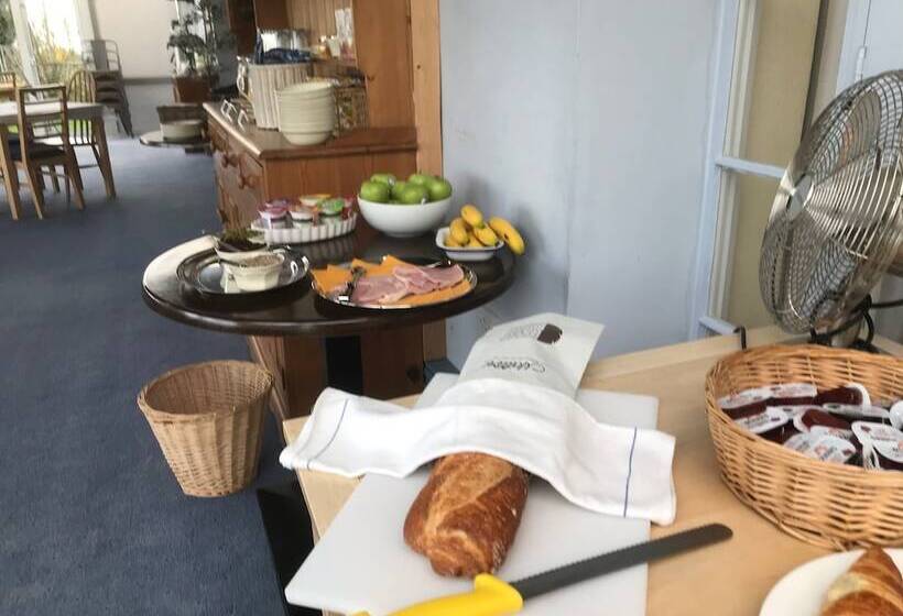 Пансион Bryn Eisteddfod B&b