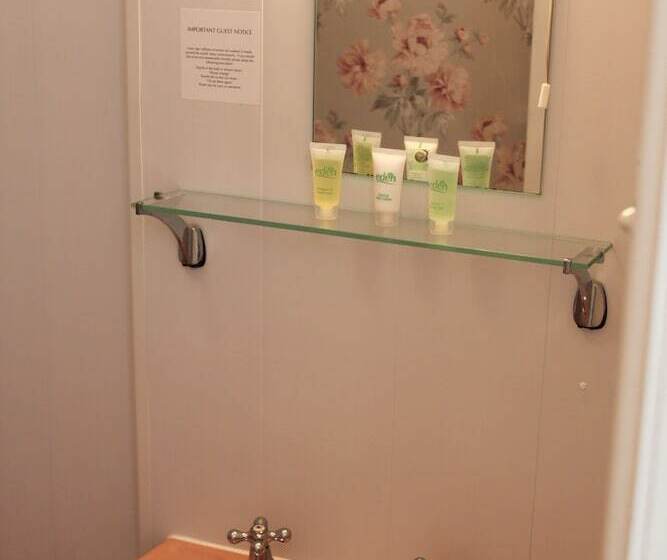 Пансион Bryn Eisteddfod B&b