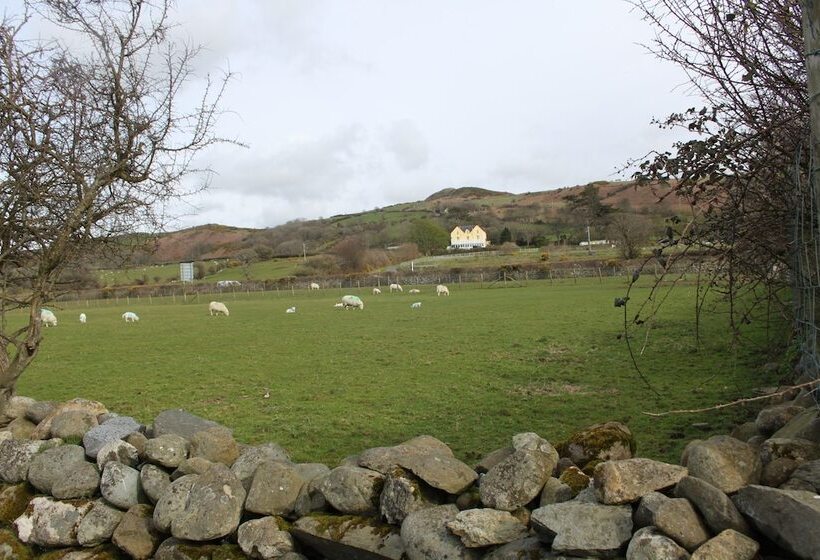 Пансион Bryn Eisteddfod B&b