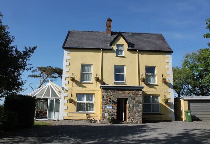 Пансион Bryn Eisteddfod B&b