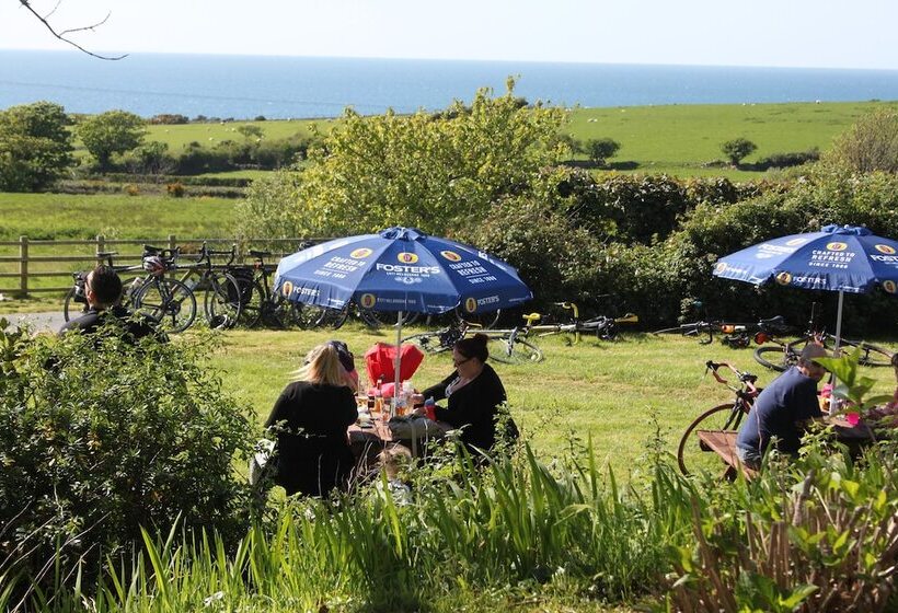 Пансион Bryn Eisteddfod B&b