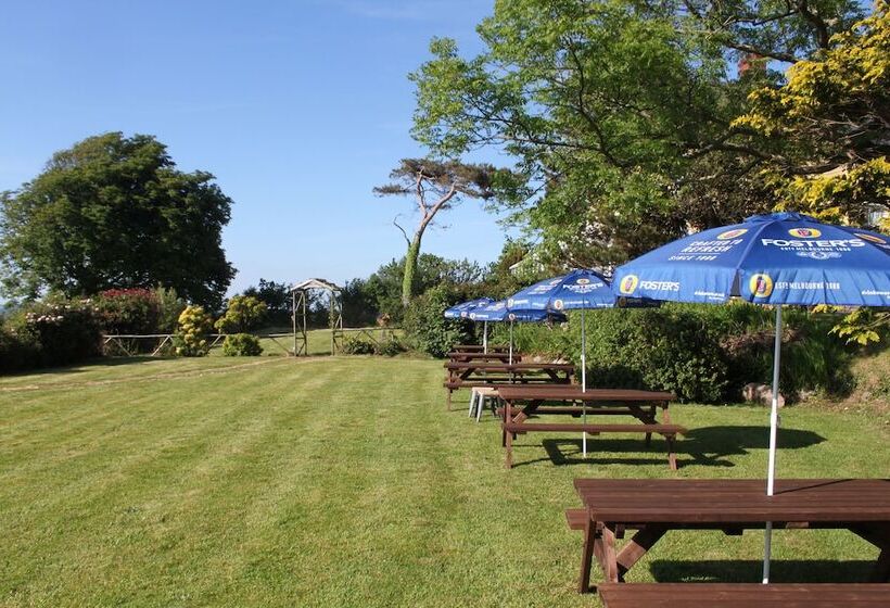 Пансион Bryn Eisteddfod B&b