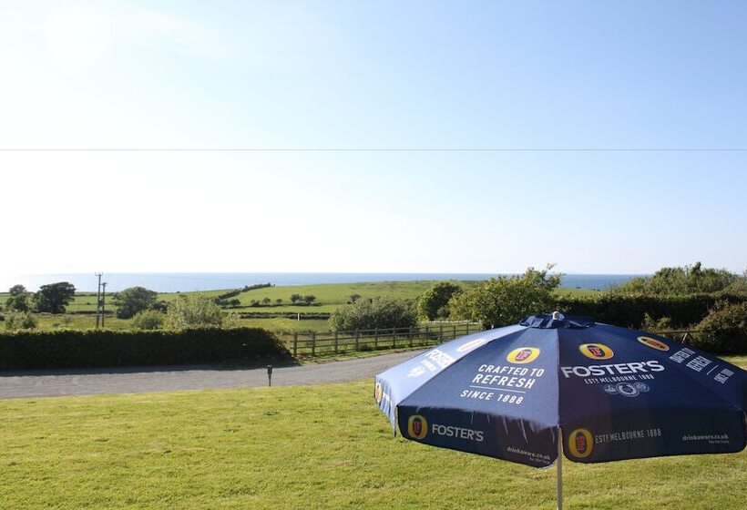 Пансион Bryn Eisteddfod B&b