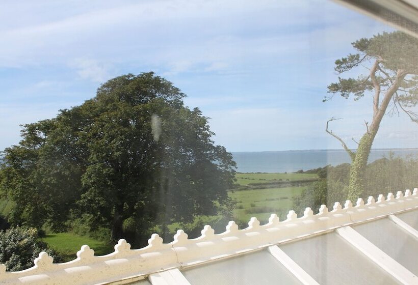 Пансион Bryn Eisteddfod B&b