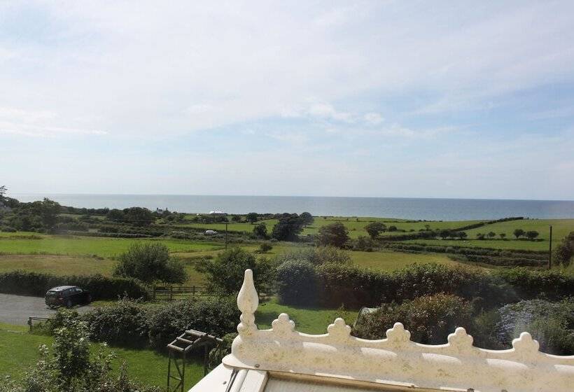 Пансион Bryn Eisteddfod B&b