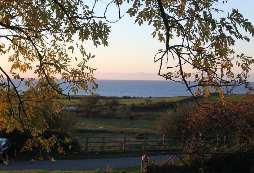 Пансион Bryn Eisteddfod B&b