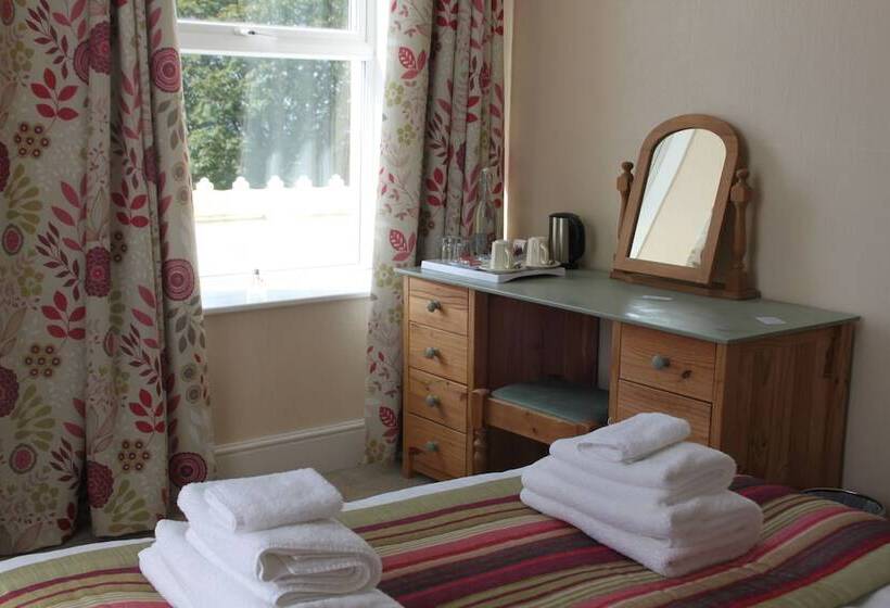 Пансион Bryn Eisteddfod B&b