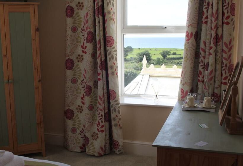 Пансион Bryn Eisteddfod B&b