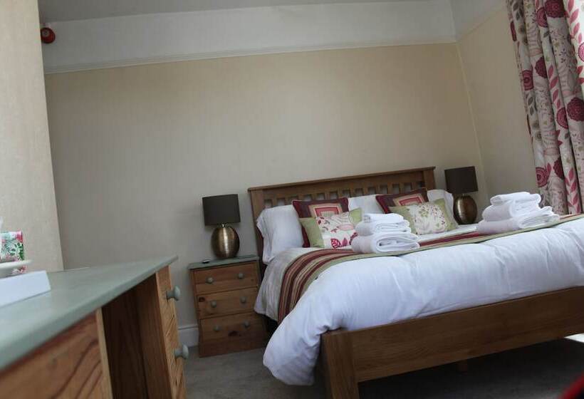 Пансион Bryn Eisteddfod B&b