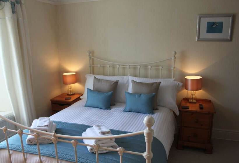 Пансион Bryn Eisteddfod B&b