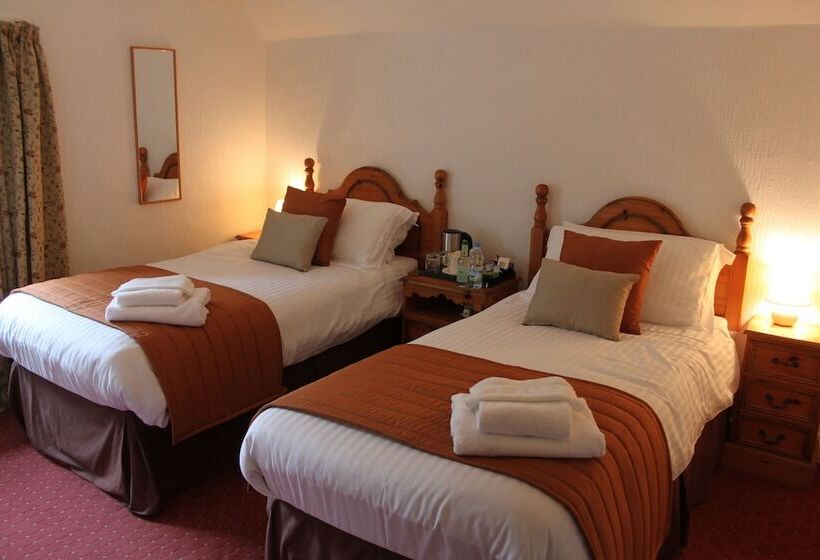 Пансион Bryn Eisteddfod B&b