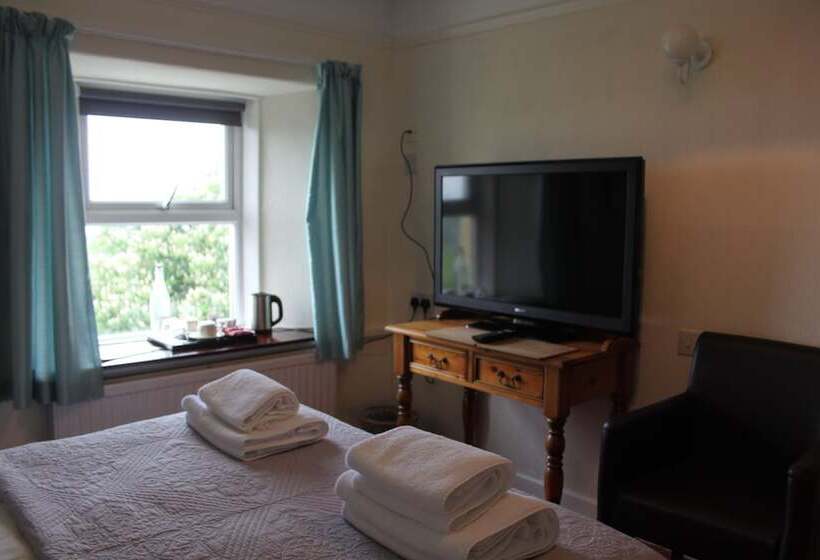 Пансион Bryn Eisteddfod B&b