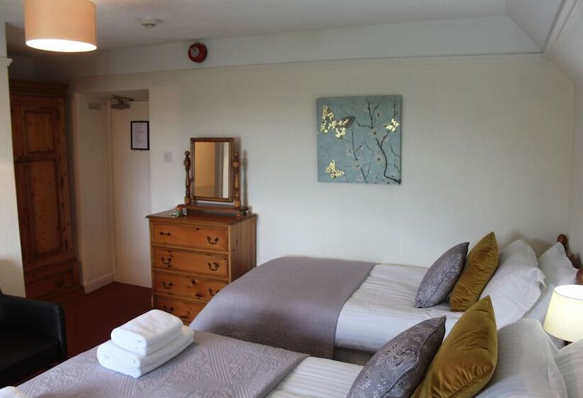 Пансион Bryn Eisteddfod B&b