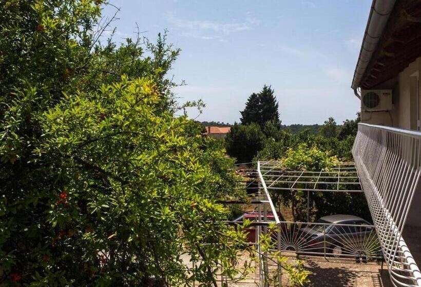 Пансион Guest House Godimento