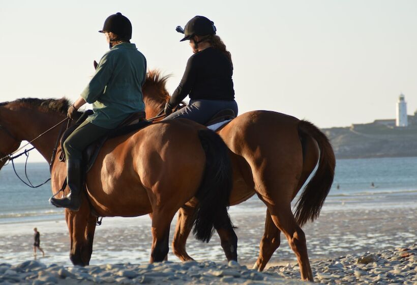 Secluded Meadow, Unique Shire Hut, Perfect Camping