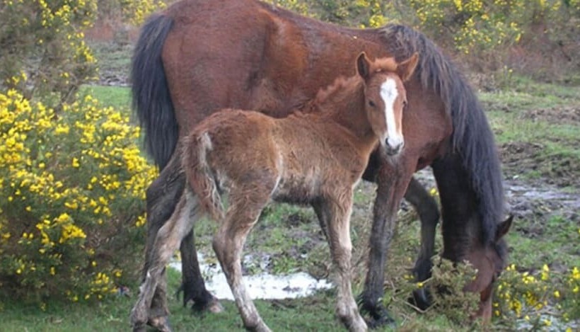 住宿加早餐 Ashen Bank