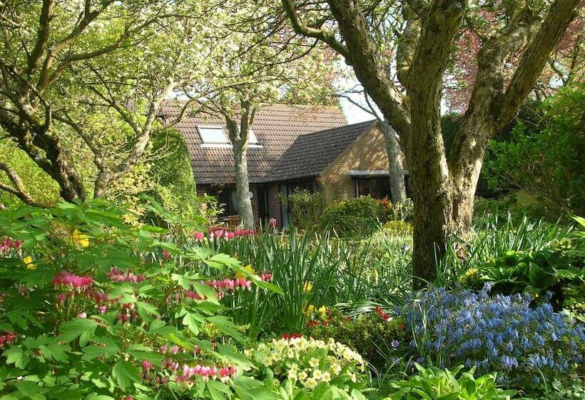 住宿加早餐 Ashen Bank