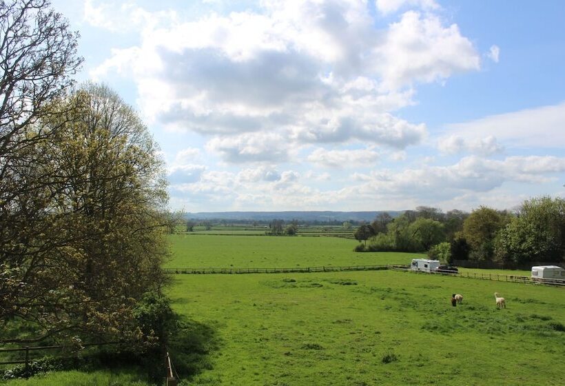 Bed and Breakfast The Swallows