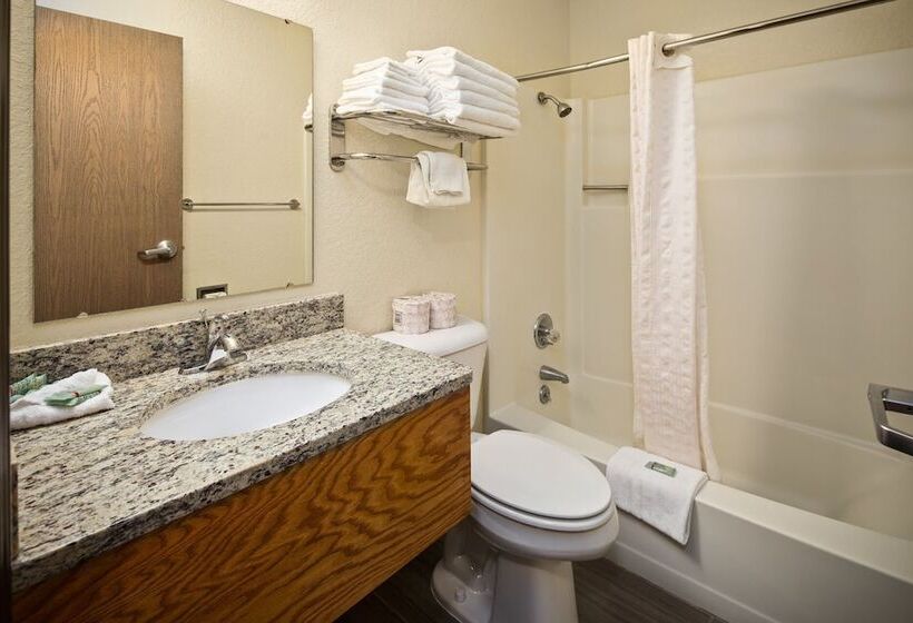 בית מלון כפרי Black Hills Luxury Suites