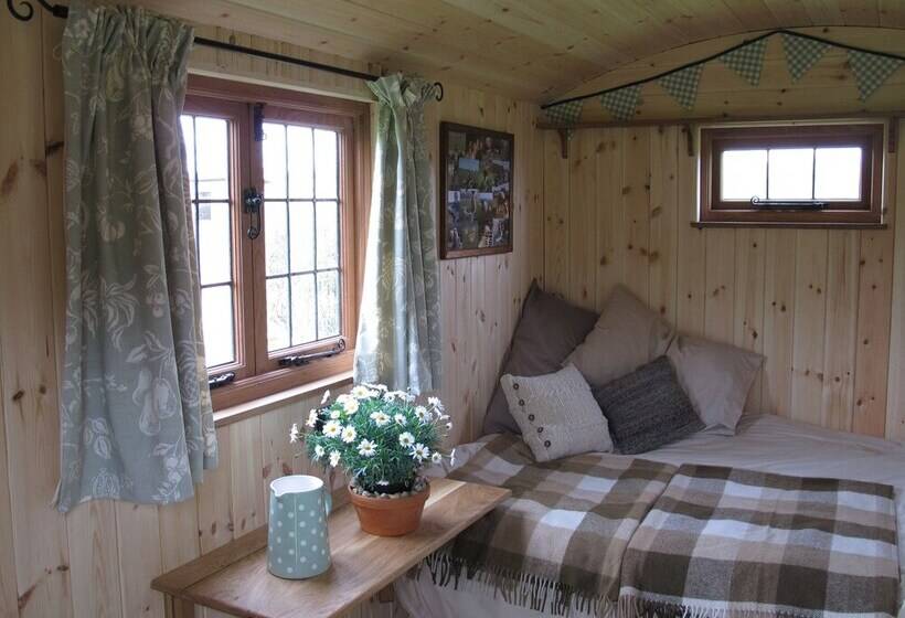 교외 호텔 Marshwood Farm B&b And Shepherds Hut