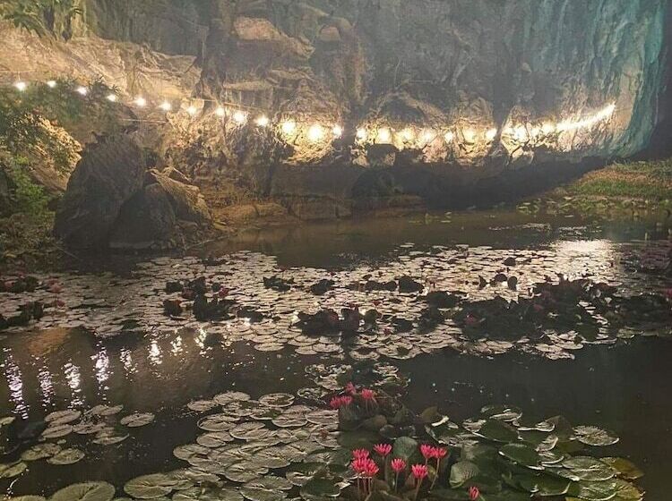 هتل Tam Coc Rocky Bungalow
