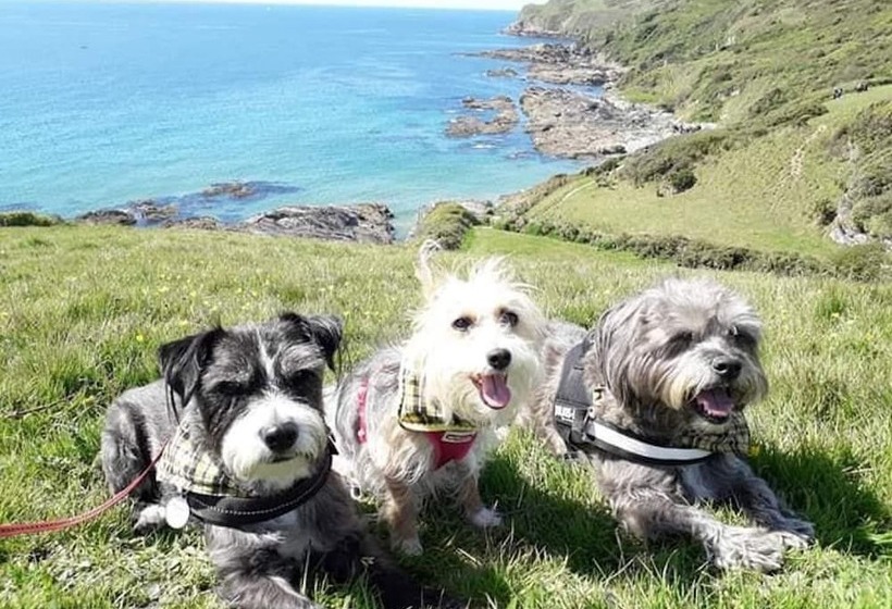 Kitty Unique 60s Caravan Set In Pretty Garden