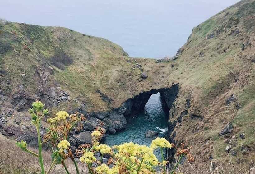 Kitty Unique 60s Caravan Set In Pretty Garden