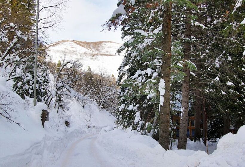 Log Cabin On The Stream