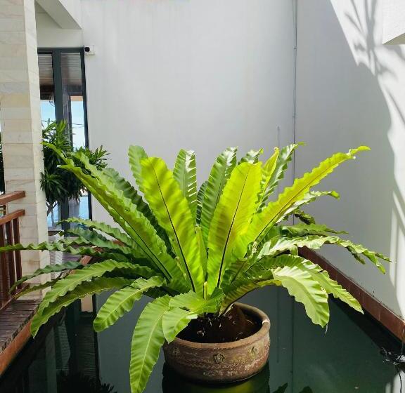 پانسیون Vivian Hotel Mui Ne