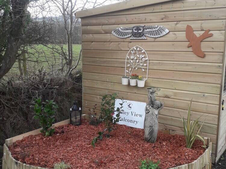 Rosie Traditional Gypsy Wagon