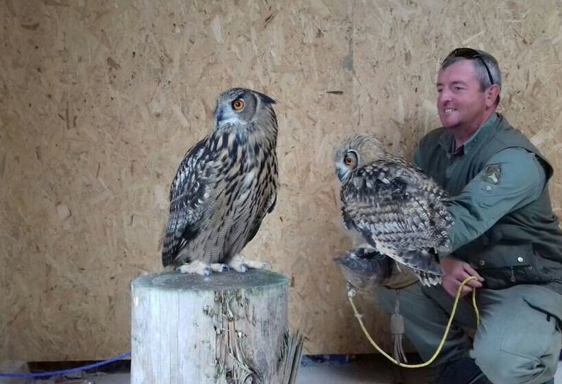 Rosie Traditional Gypsy Wagon