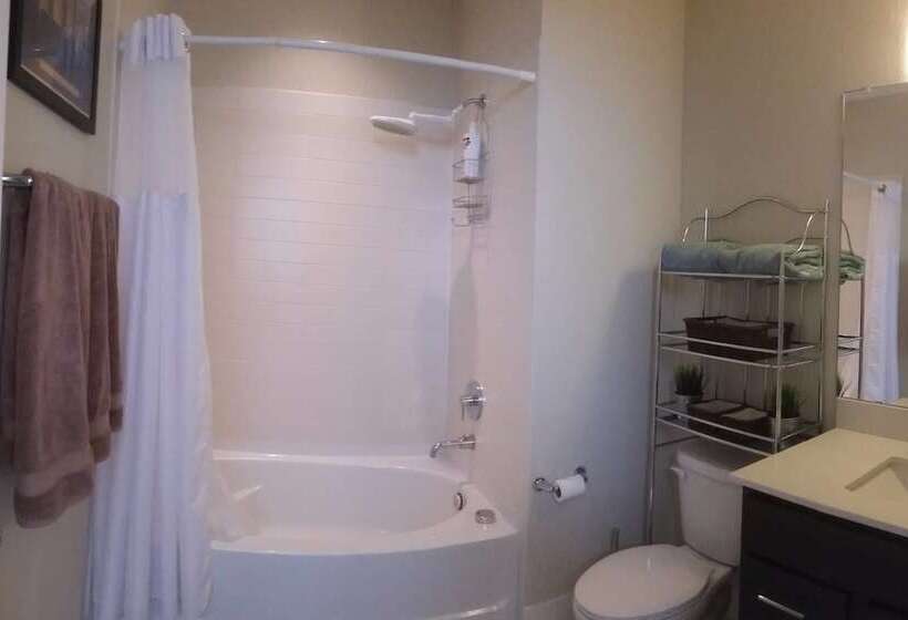 The Mile High Townhome Walk To The Stadium