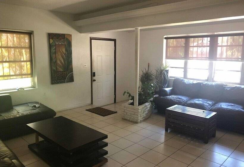 Zbunkz   Little Havana   Hostel