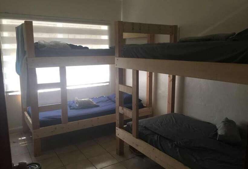 Zbunkz Little Havana Hostel