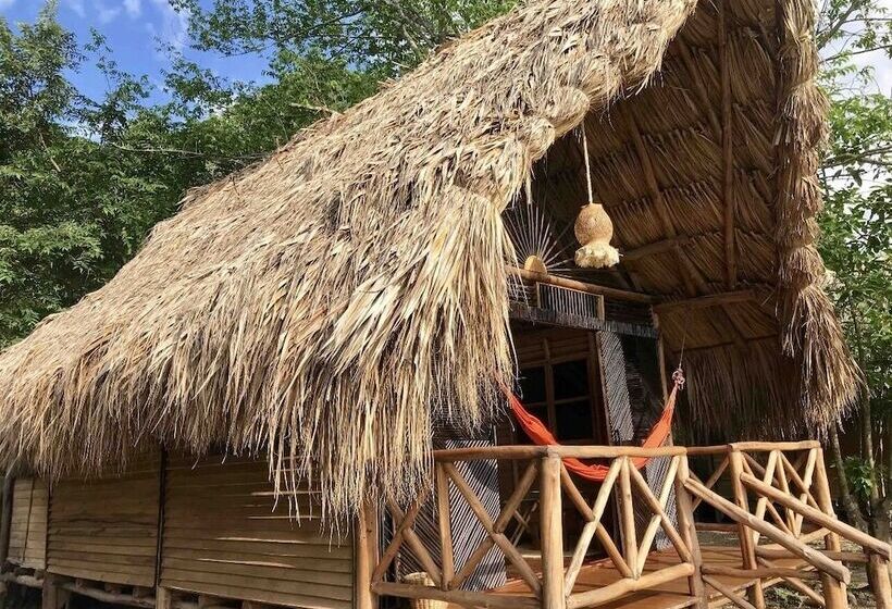 Отель Casa Gaia Palomino