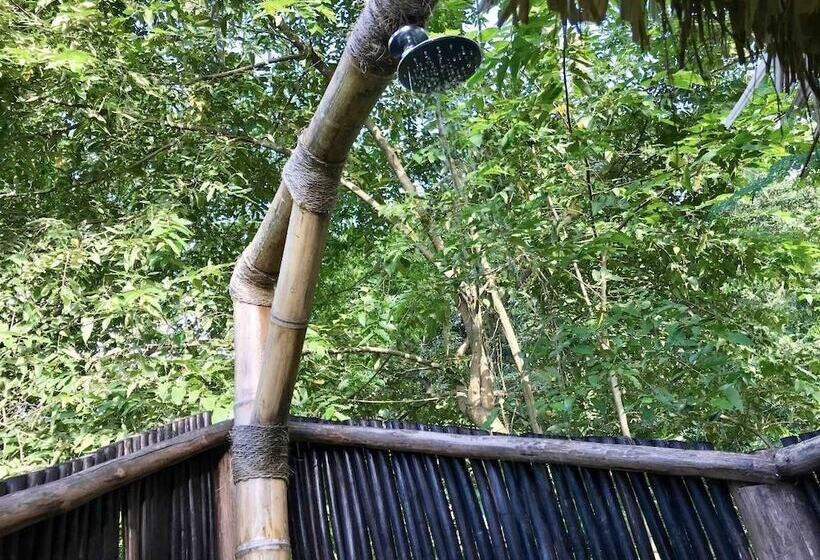 Отель Casa Gaia Palomino