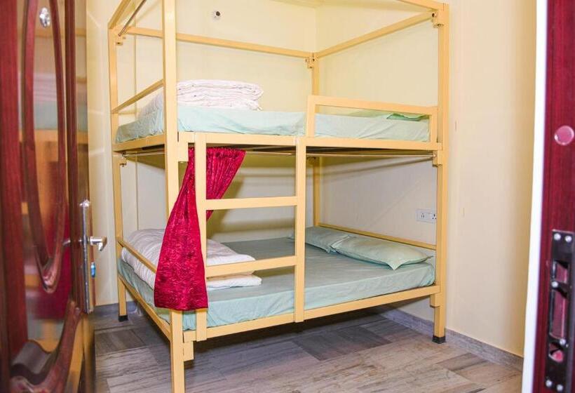 Hostel Banjara House