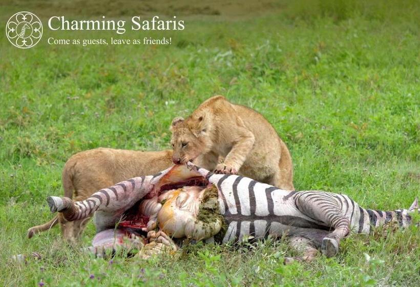 住宿加早餐 Charming Bungalows