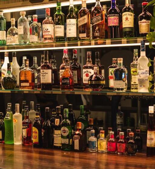 Carnmore Hotel Christchurch