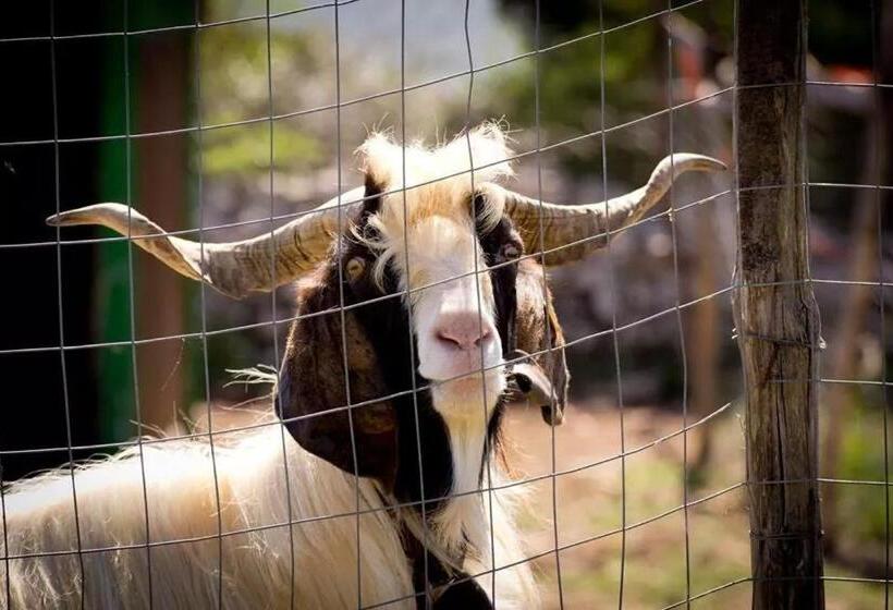 酒店 Agriturismo Agrimilo