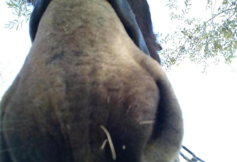 酒店 Agriturismo Agrimilo