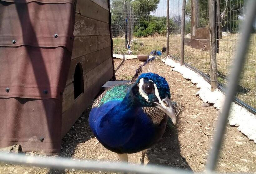 酒店 Agriturismo Agrimilo