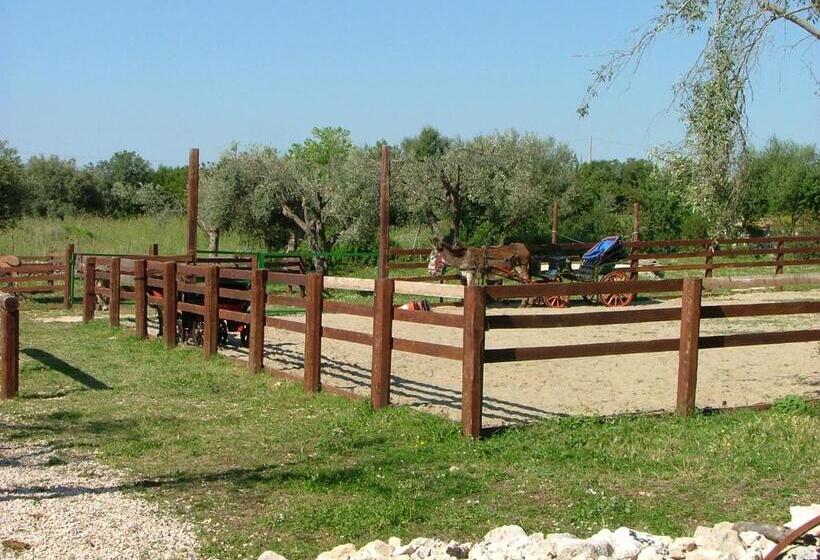 酒店 Agriturismo Agrimilo