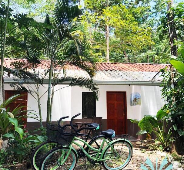 ホテル Bambutel Cocles