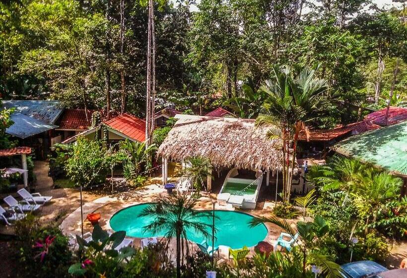 ホテル Bambutel Cocles