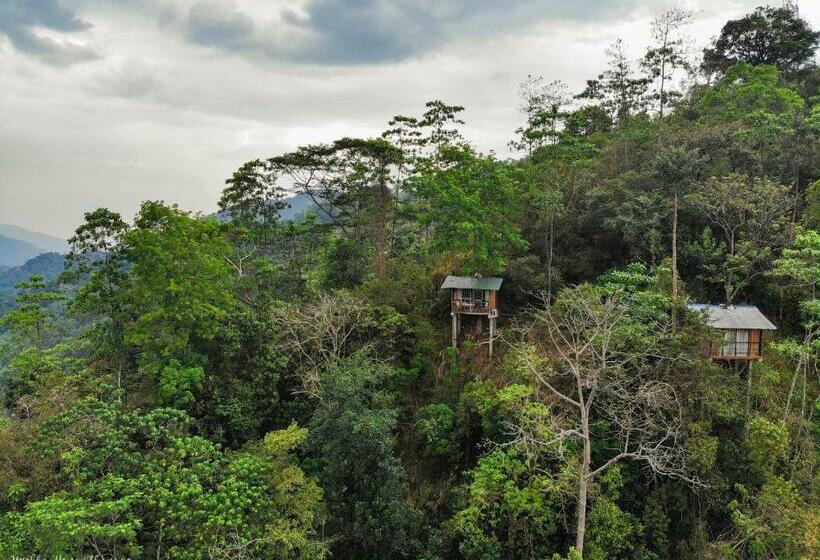 فندق Tree Houses By Jungle River