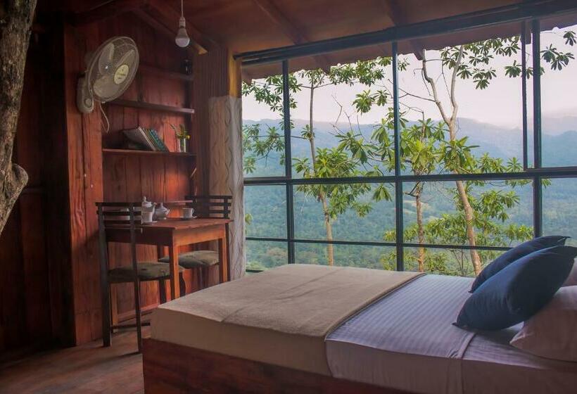 Hotel Tree Houses By Jungle River