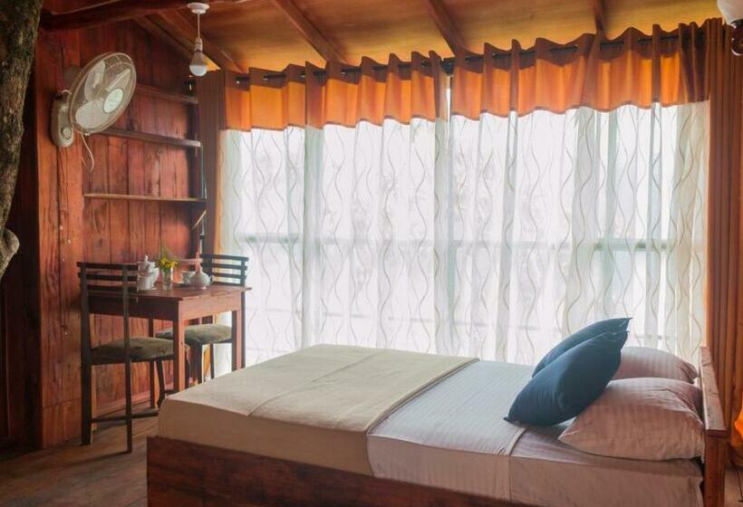 Hotel Tree Houses By Jungle River