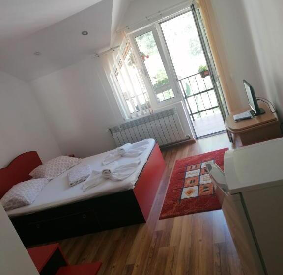 膳宿费 Casa Visescu